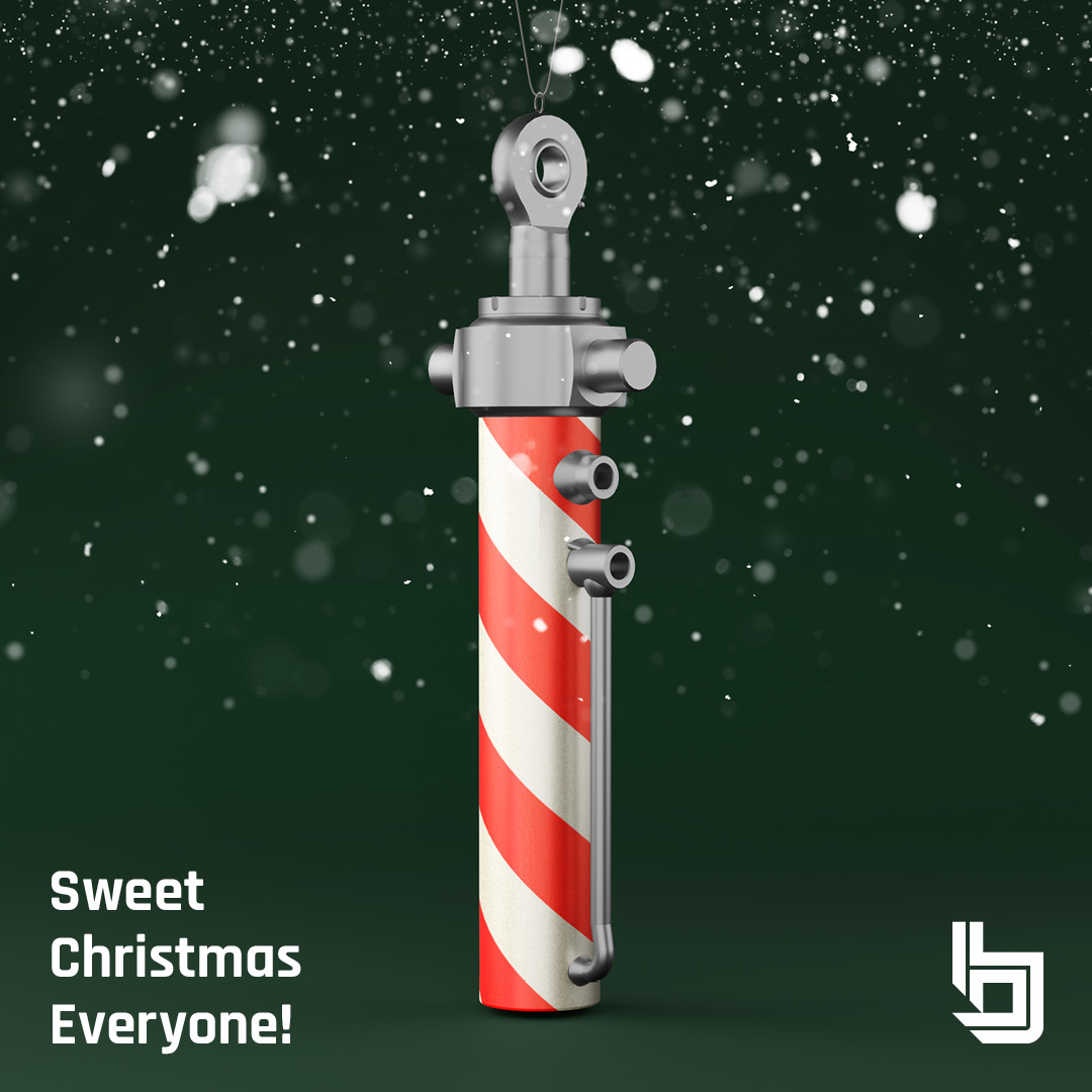 A warm Merry Christmas greeting from the Bicelli team!